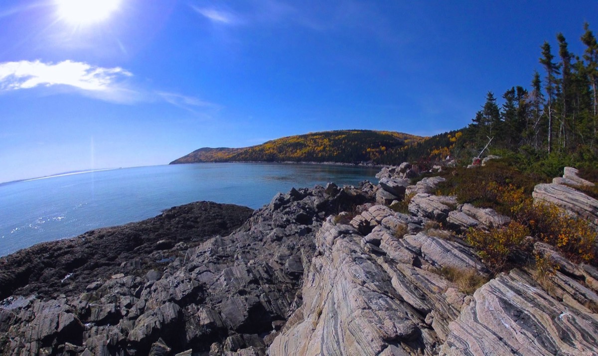Stacks Image 82