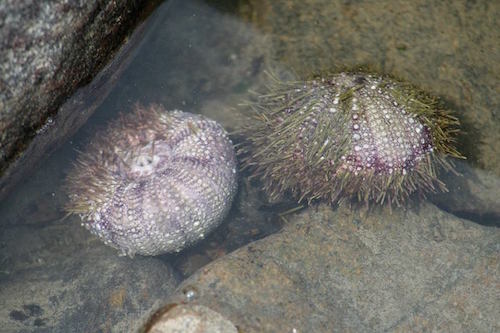 Stacks Image 458